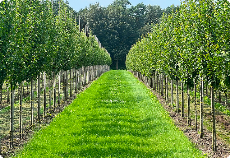 Kom werken bij onze kwekerij!.
